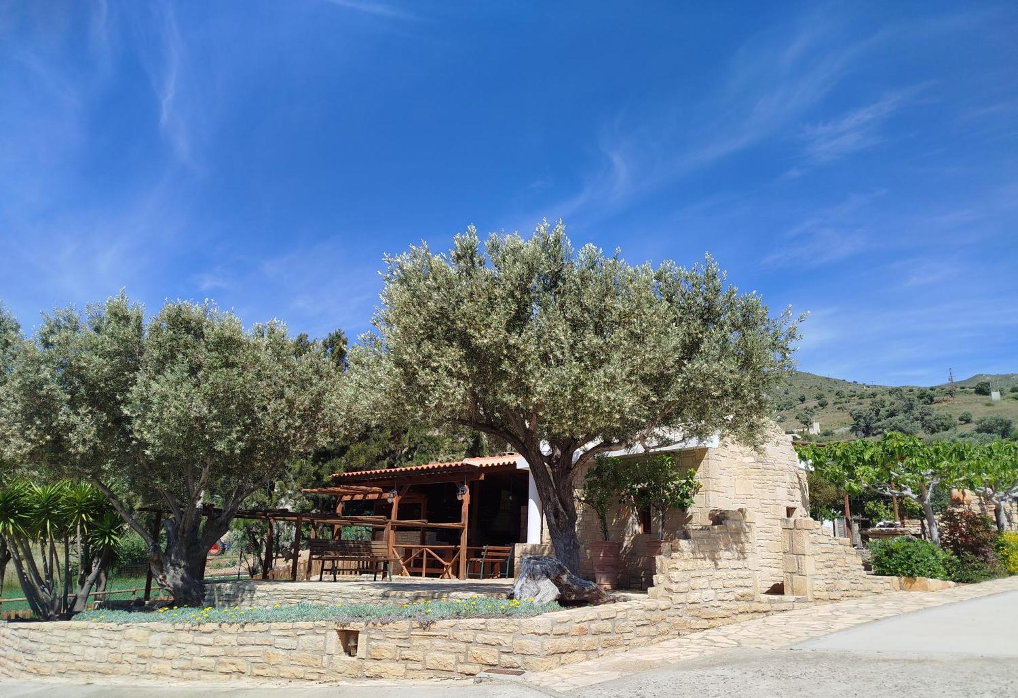 Alexena Apartments Agia Galini Exteriör bild