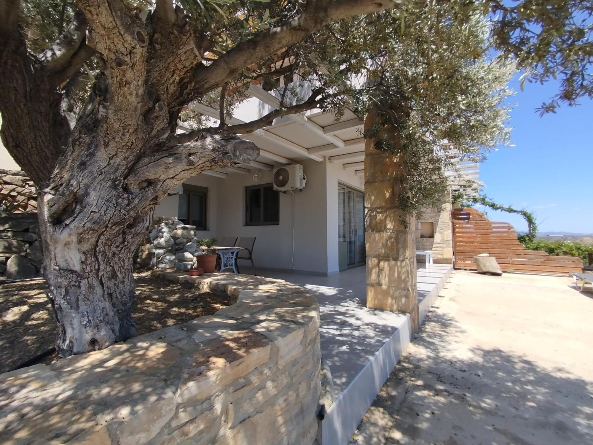 Alexena Apartments Agia Galini Exteriör bild